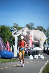 BIB: 
                            <button type="button" onclick="openModal(26543614)" class="btn btn-primary btn-sm float-right btn-popup" data-toggle="modal" data-target=".modal-high-quality">
                        <i class="fas fa-shopping-cart"></i> Add to Cart
                    </button>
                                            <button type="button" onclick="isThisMe(26543614, true)" class="btn btn-success btn-sm float-right btn-popup btn-isme hidden" data-toggle="tooltip" data-placement="bottom" title="นี่คือรูปของคุณใช่ไหม คลิกที่นี่เพื่อเอาเข้าอัลบั้ม">
                        <i class="fas fa-plus"></i> Add to album
                    </button>
                    <button type="button" onclick="isThisMe(26543614, false)" class="btn btn-warning btn-sm float-right btn-popup btn-isnotme hidden">
                        <i class="fas fa-ban"></i> Remove from album
                    </button>